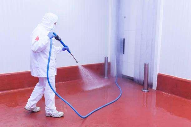 Best Soft Washing  in Thief River Falls, MN